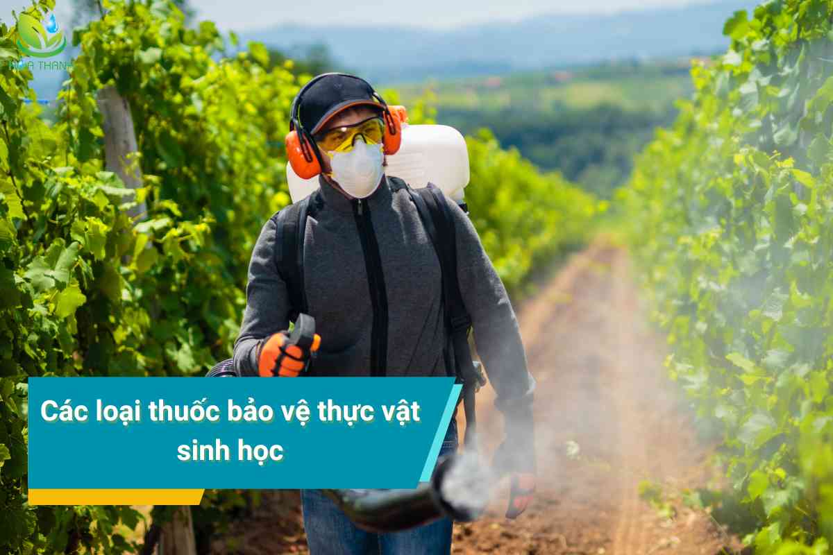 Các loại thuốc bảo vệ thực vật sinh học