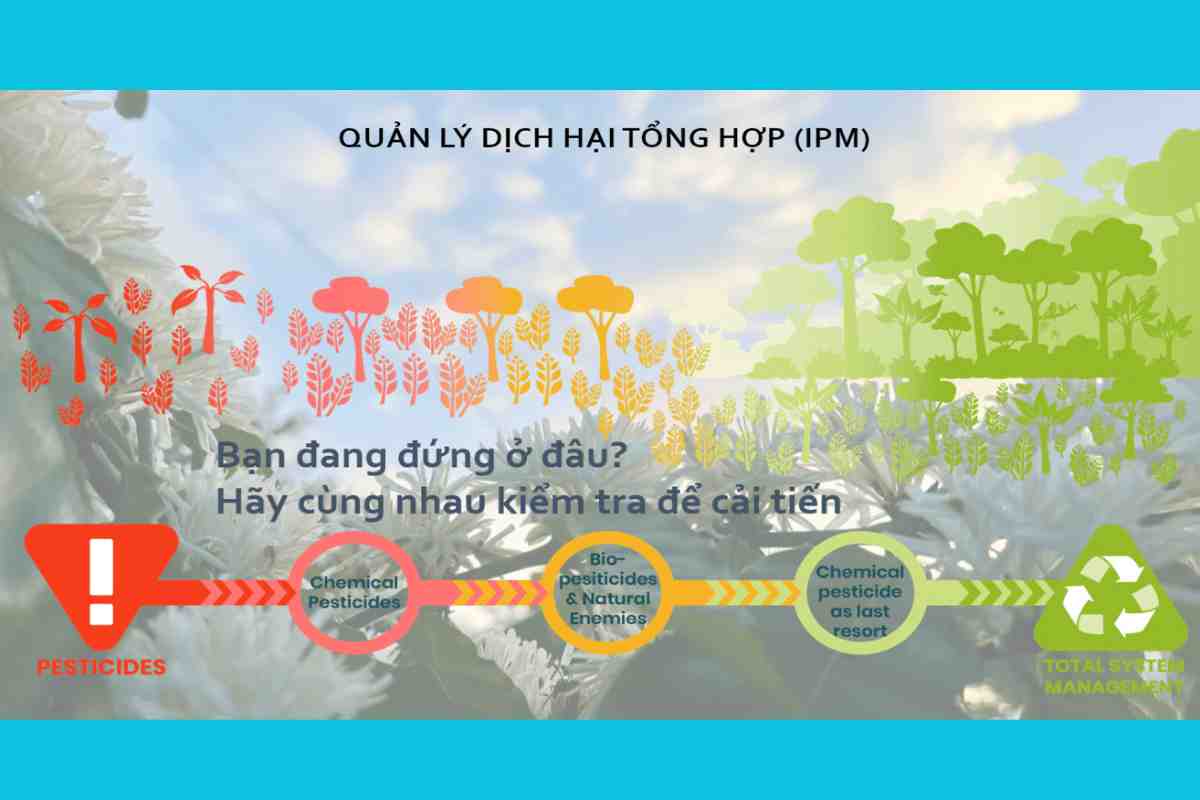 Kỹ thuật quản lý dịch hại tổng hợp (IPM)