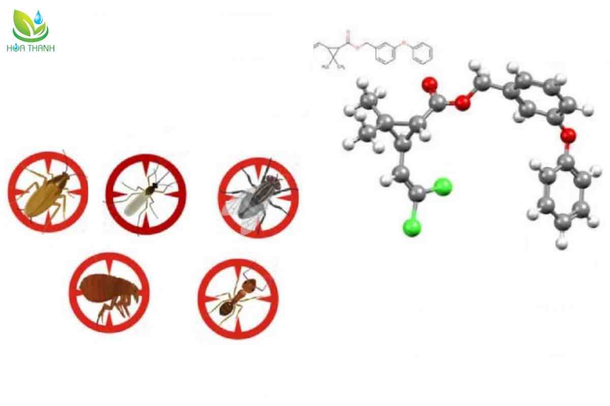 Nhóm cúc tổng hợp (Pyrethroid)