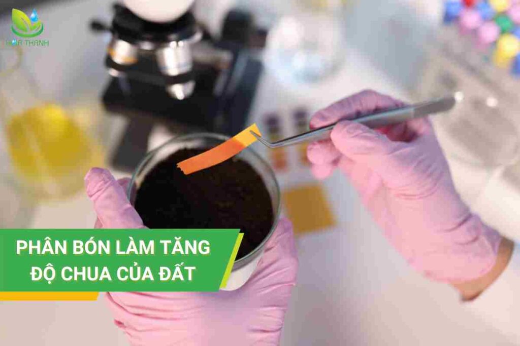 Phân bón làm tăng độ chua của đất