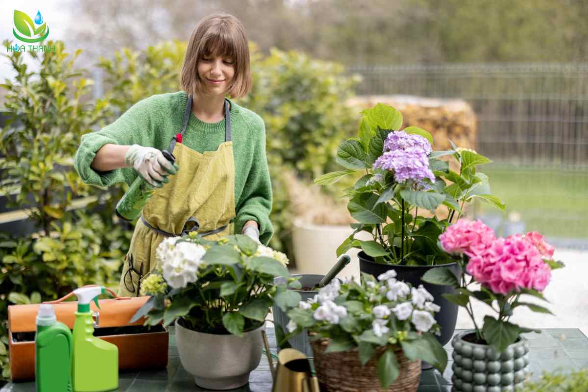 Tầm quan trọng của việc hiểu các ký hiệu trong quản lý dịch hại