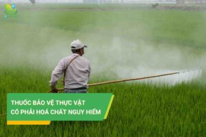 Thuốc bảo vệ thực vật có phải hóa chất nguy hiểm?