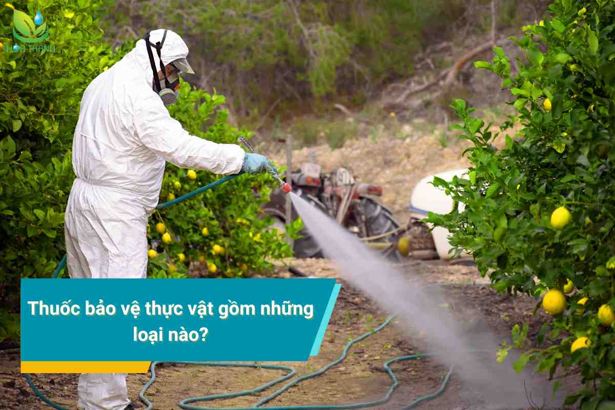 Thuốc bảo vệ thực vật gồm những loại nào?