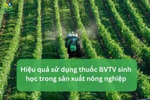 Hiệu quả sử dụng thuốc BVTV sinh học trong sản xuất nông nghiệp