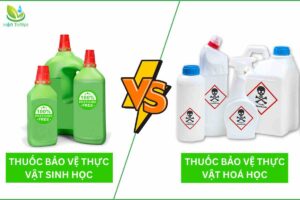 So sánh thuốc bảo vệ thực vật sinh học và hóa học